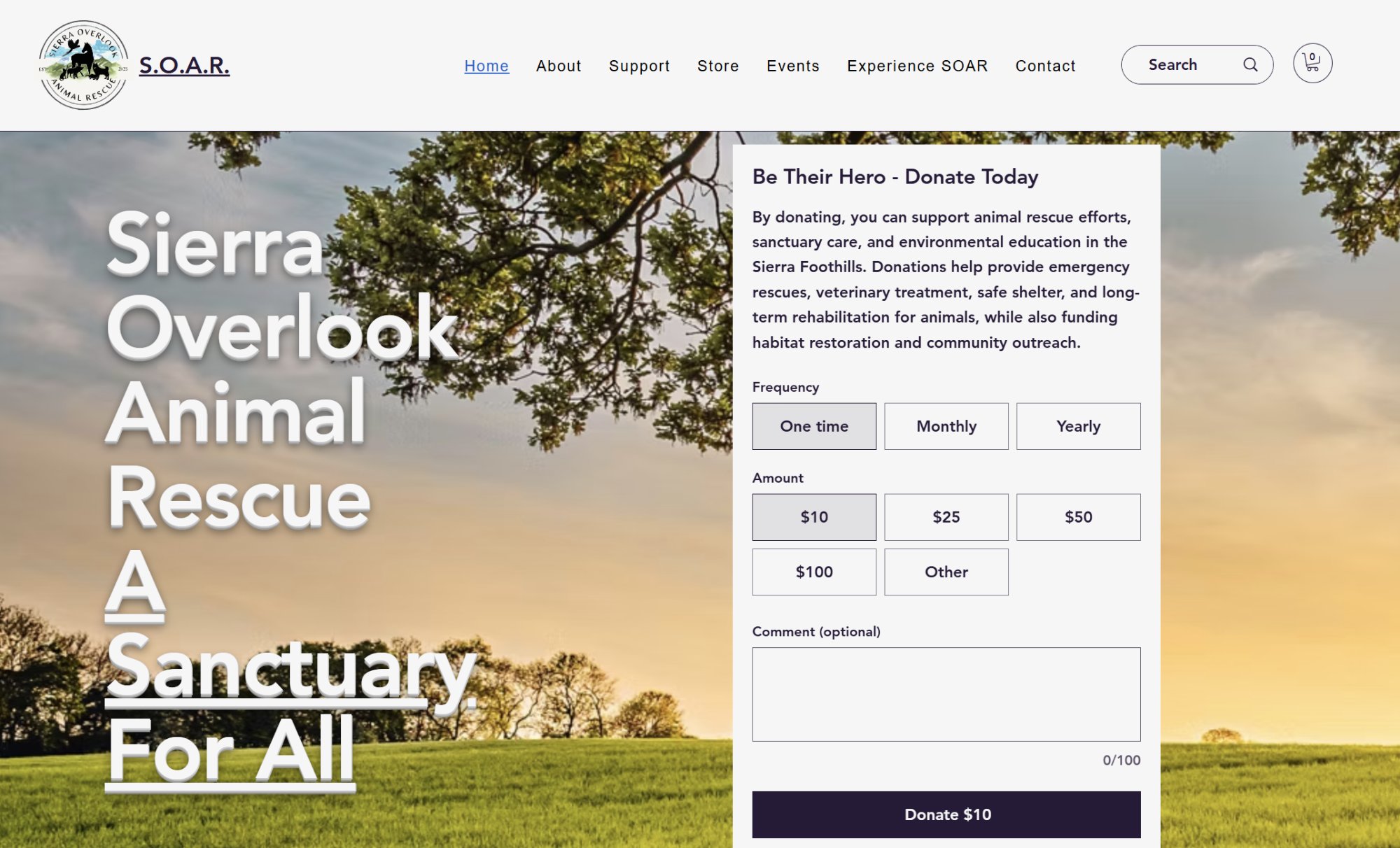 SOAR homepage hero section