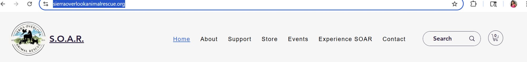 SOAR horizontal navigation bar
