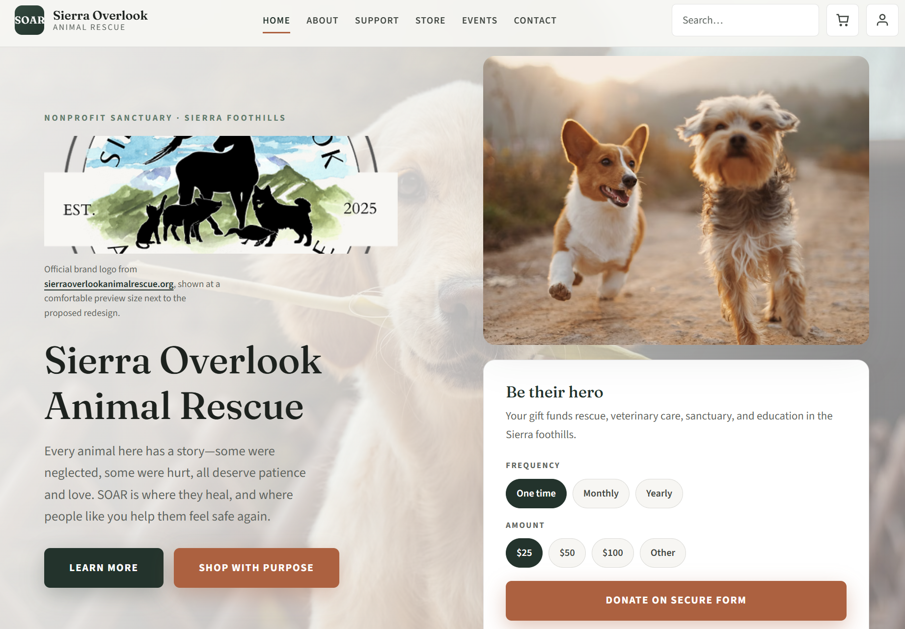 SOAR website redesign — desktop view